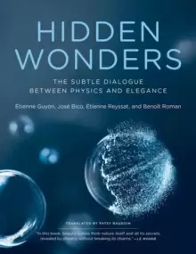 Image of Hidden Wonders : The Subtle Dialogue Between Physics and Elegance