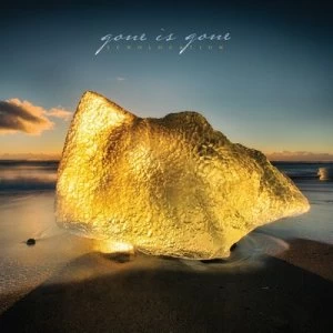 image of Echolocation by Gone is Gone CD Album