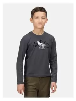 image of Regatta Kid's Boys Wenbie Ii Long Sleeve Graphic T-Shirt - Grey, Size 5-6 Years