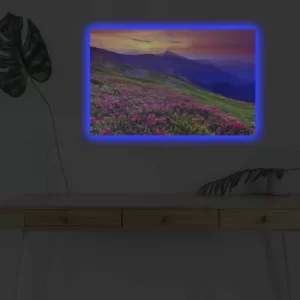 Image of 4570DHDACT-094 Multicolor Decorative LED Lighted Canvas Painting