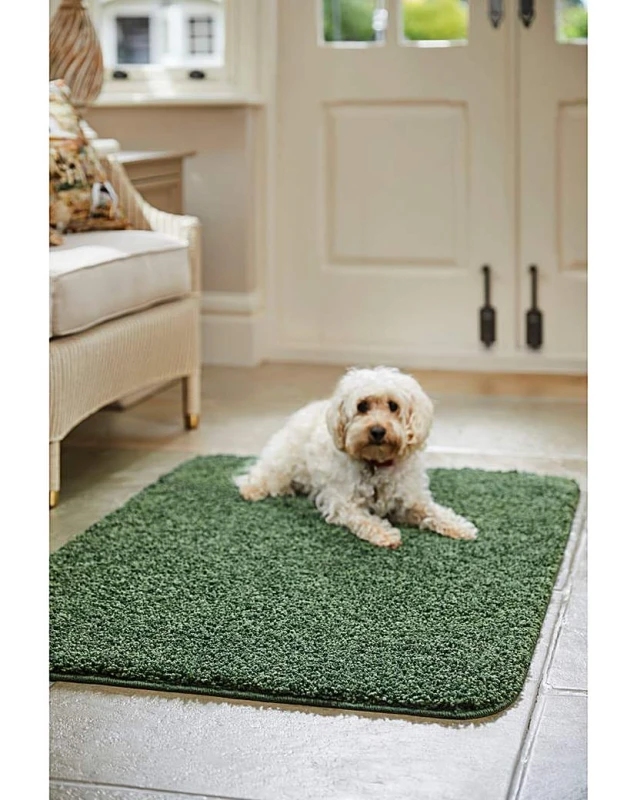 Image of Buddy Buddy Washable & Stain Resistant Rug Forest Green 60X100 NV22077