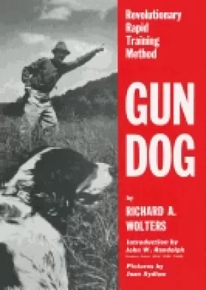 Image of gun dog revolutionary rapid training method