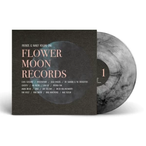 Image of Maria Taylor - Friends & Family Volume One (Seafoam Green Vinyl)