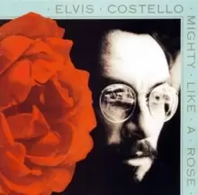 Image of Mighty Like A Rose