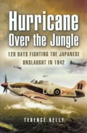 Image of Hurricane over the jungle by Terence Kelly