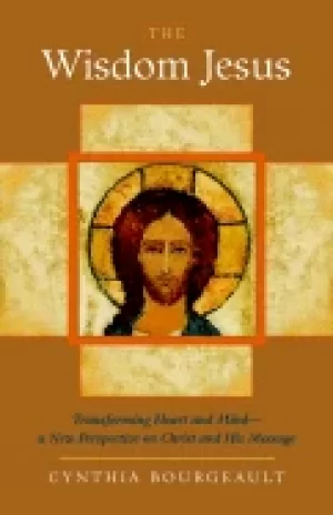 Image of wisdom jesus transforming heart and mind a new perspective on christ and hi