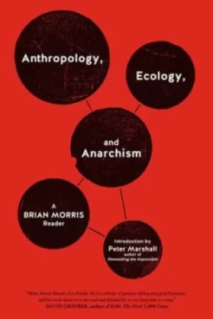 Image of Anthropology ecology and anarchism by Brian Morris