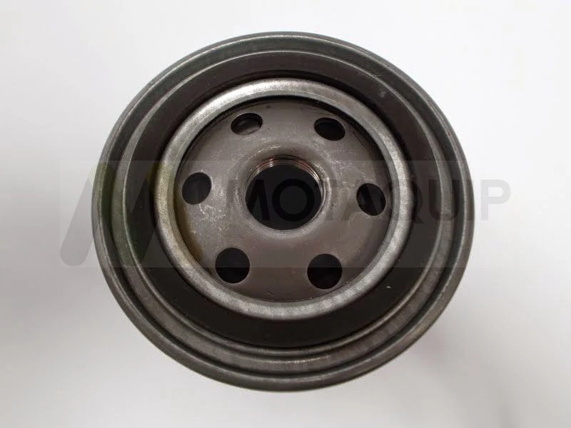 Image of MOTAQUIP Oil filter MOTAQUIP LVFL779