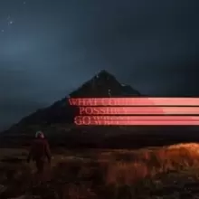 Image of What Could Possibly Go Wrong