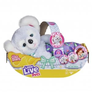 Image of Little Live Pets Cozy Dozy Koala