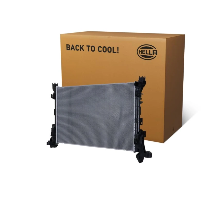 Image of HELLA Engine radiator HELLA 8MK 366 301-531