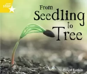 Image of Rigby Star Guided Quest Yellow From Seedling To Tree by