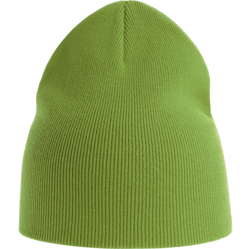 Image of Atlantis Atlantis Men Yala Beanie in Pale Green Pale Green One Size Male 5063470659302