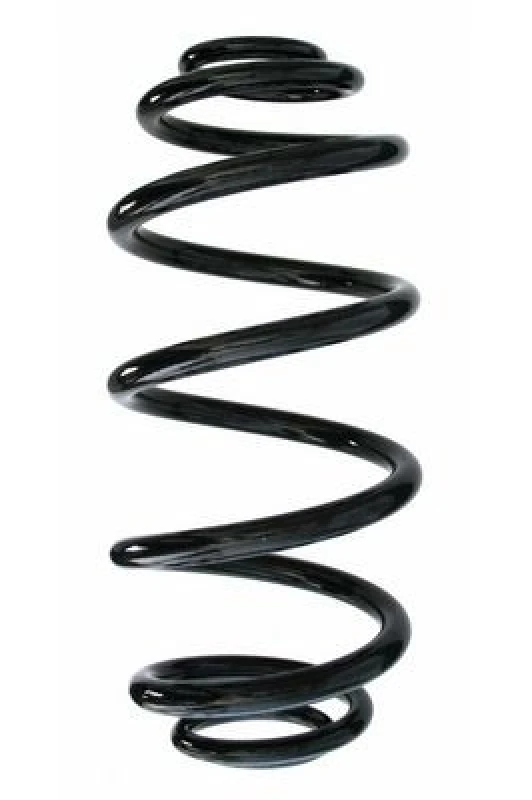 Image of Coil spring SPIDAN 87699