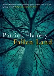 Image of Fallen Land