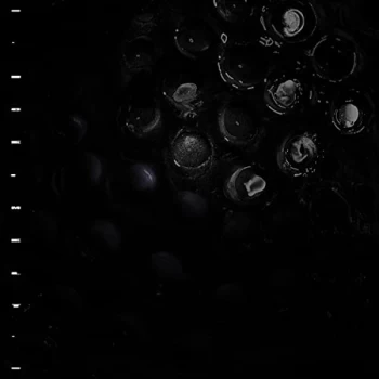 Image of Crumb - Ice Melt CD