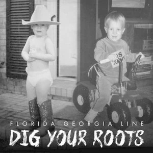 image of Dig Your Roots by Florida Georgia Line CD Album