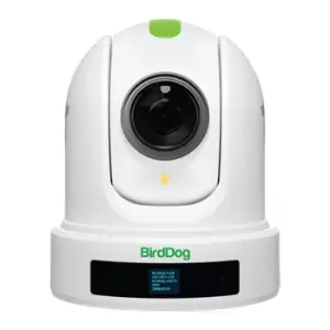 image of BirdDog P110 NDI PTZ Camera (White)