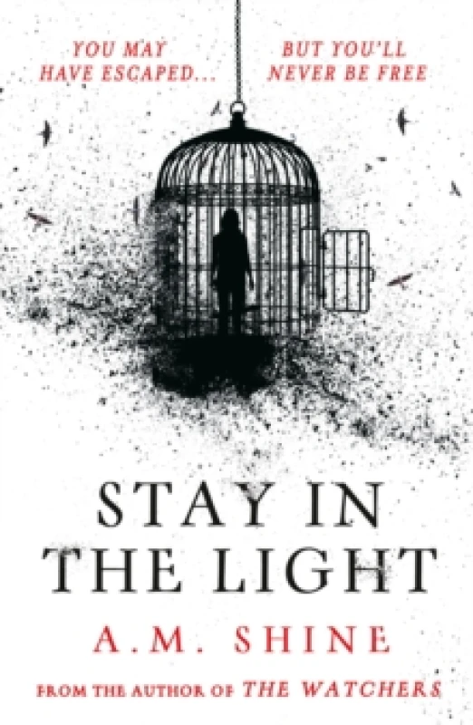 Image of Stay in the Light : the chilling sequel to hit horror novel THE WATCHERS Paperback / softback
