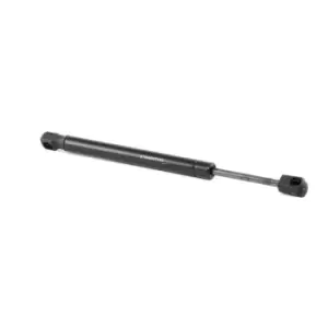 Image of RIDEX Tailgate strut BMW 219G0199 51242264448