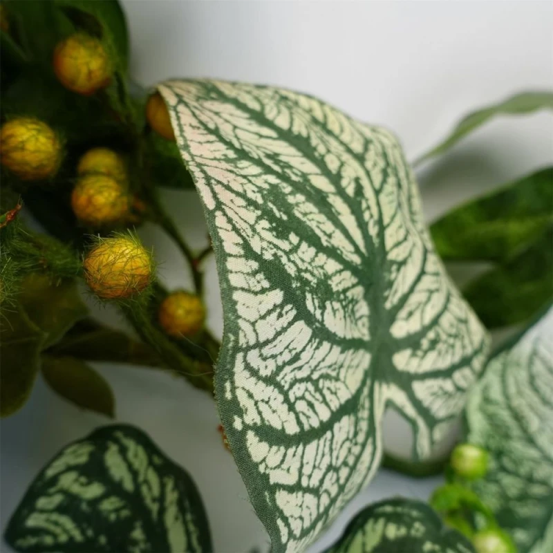 Image of Leaf Artificial Hanging Trailing Plant Plant Alocasia Sinuata Botanik Green
