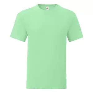 image of Fruit of the Loom Mens Iconic 150 T-Shirt (S) (Mint Green)