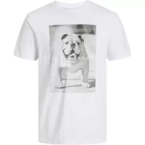 image of Jack and Jones Bulldog T Shirt Mens - White