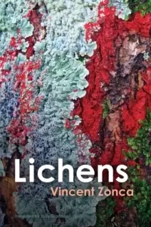 Image of Lichens : Toward a Minimal Resistance