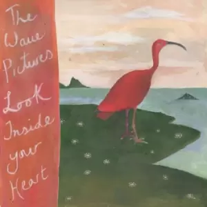 Image of Look Inside Your Heart by The Wave Pictures CD Album
