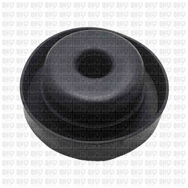 Image of QUINTON HAZELL Spring cap QUINTON HAZELL EMR6171