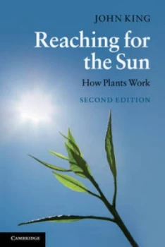 Image of Reaching for the Sun by John King Book