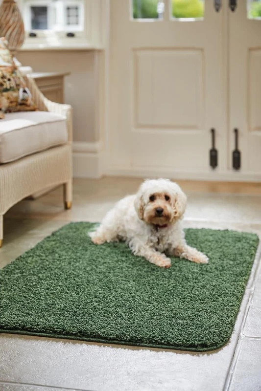Image of Buddy Buddy Washable & Stain Resistant Rug Forest Green 100X150 NV22078