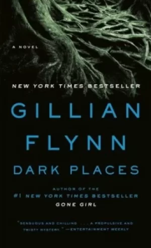 Image of Dark Places by Gillian Flynn