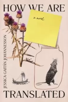 Image of How We Are Translated : a novel