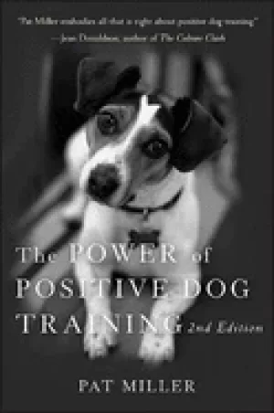 Image of power of positive dog training