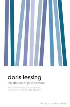 Image of The diaries of Jane Somers by Doris Lessing