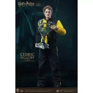 Image of Harry Potter My Favourite Movie Action Figure 1/6 Cedric Diggory Triwizard Version 30 cm