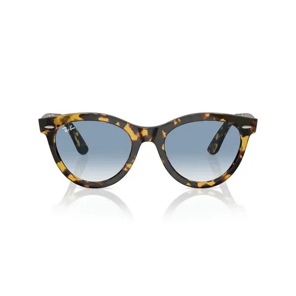 Image of Ray-Ban RB 2241 Sunglasses