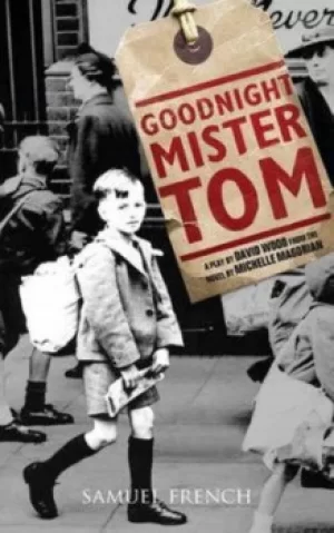 Image of Goodnight Mister Tom by David Wood