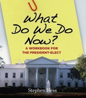 Image of What do we do now? by Stephen Hess
