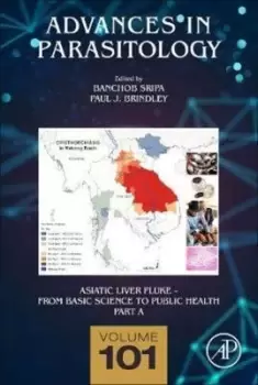 Image of Asiatic liver fluke Part A by Banchob Sripa