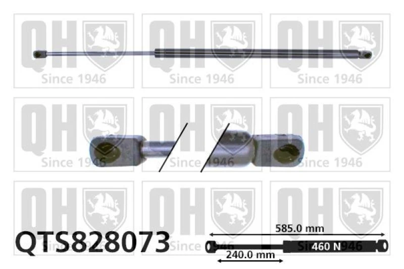 Image of QUINTON HAZELL Tailgate strut QUINTON HAZELL QTS828073