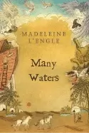 Image of many waters