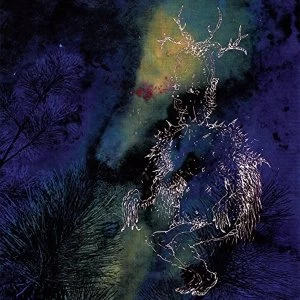 Image of Bardo Pond - Under The Pines Vinyl