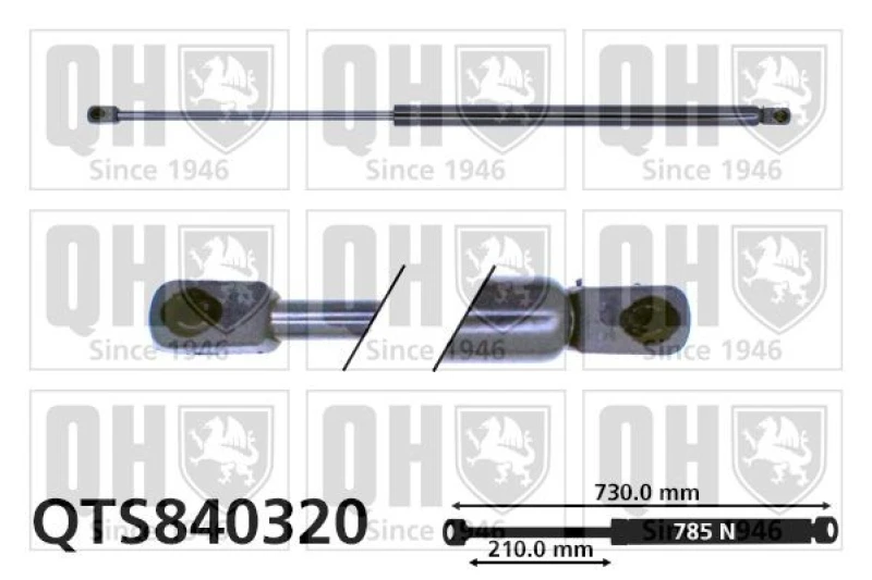 Image of QUINTON HAZELL Tailgate strut QUINTON HAZELL QTS840320