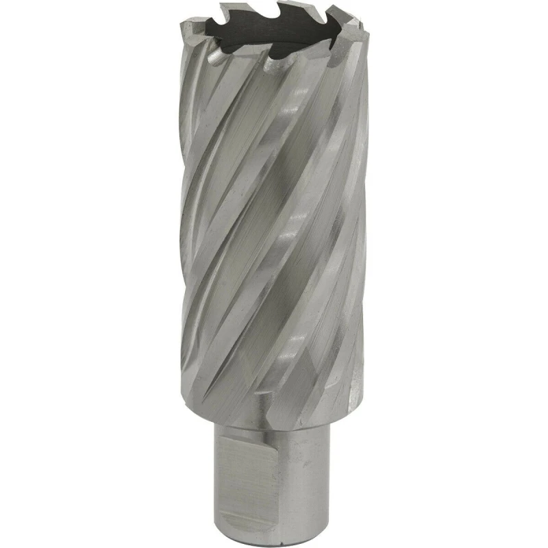 Image of Loops 30mm x 50mm Depth Rotabor Cutter - M2 Steel Annular Metal Core Drill 19mm Shank Metallics