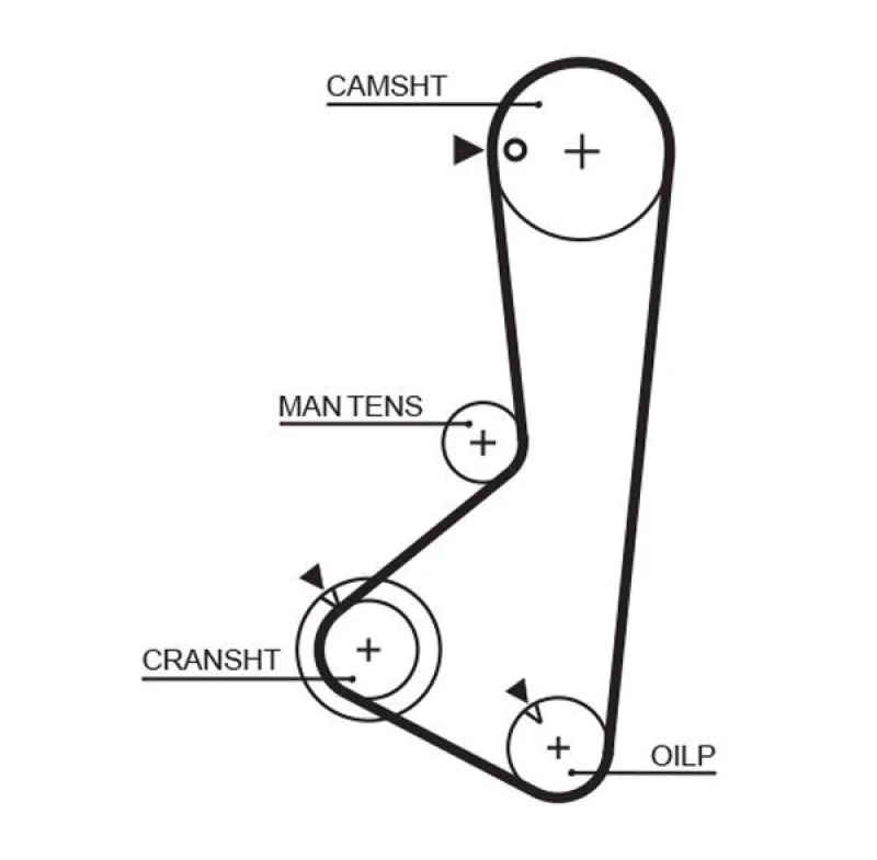 Image of GATES Timing Belt GATES 5256XS