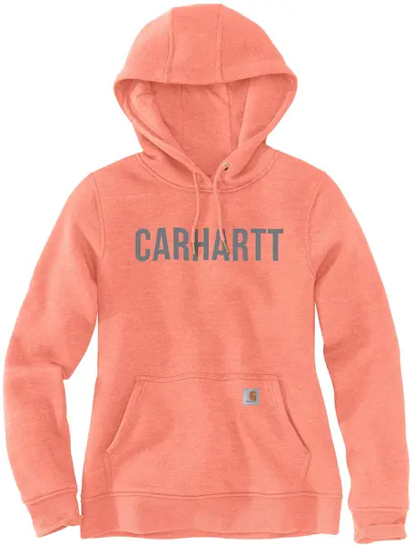 Image of Carhartt Relaxed Fit Midweight Graphic Ladies Sweatshirt, orange, Size XL for Women