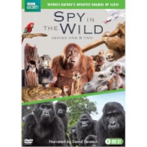 Image of Spy in the Wild: Series 1-2