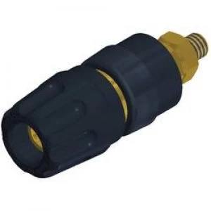 Image of Pole terminal Black 35 A SKS Hirschmann PKI 10 A Au